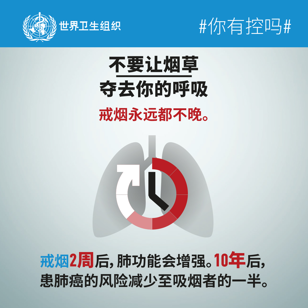 6188_WHO_WNTD19_INFOGRAPHICS_EN_6